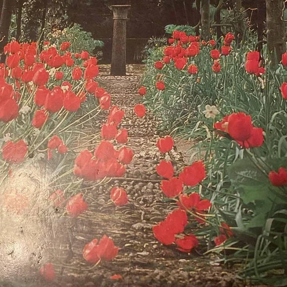 Gardening book - Picture 4 of 7